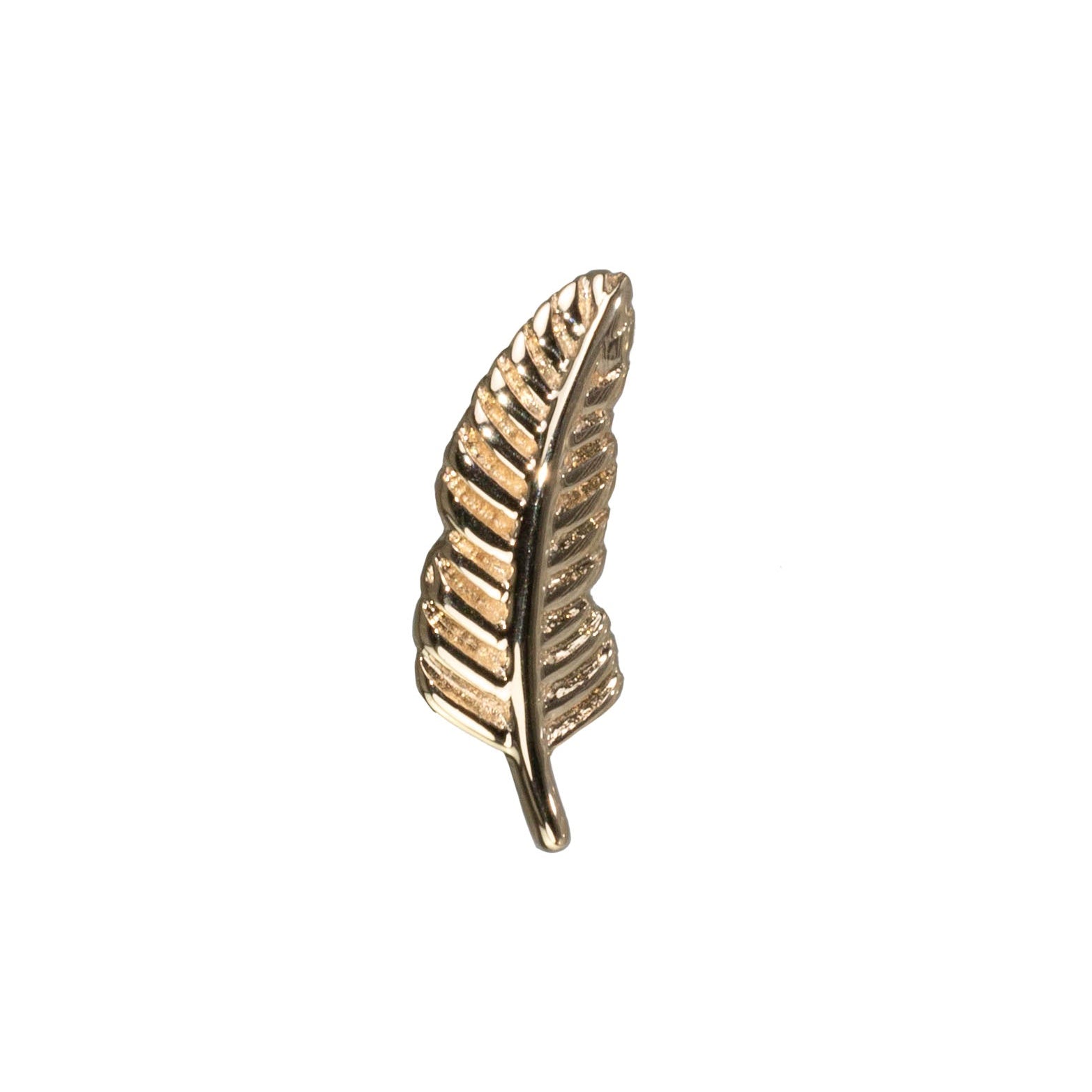 Plume