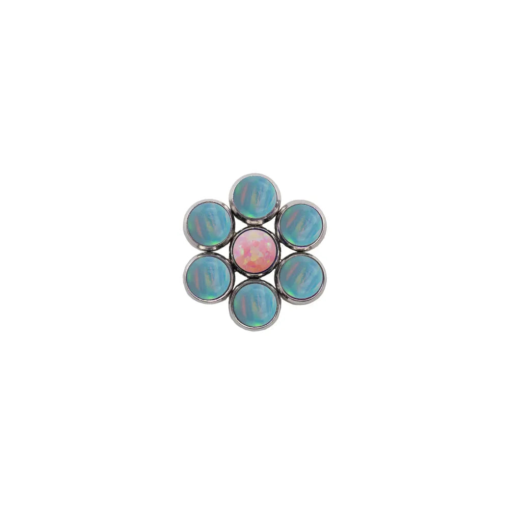 Blossom