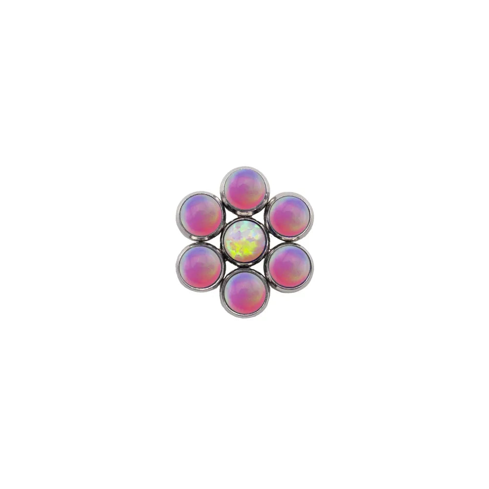 Blossom