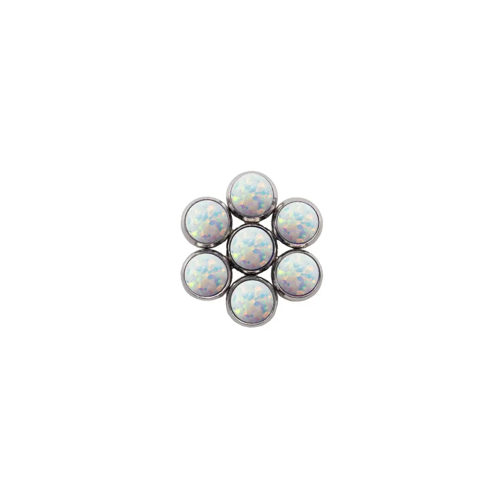 31B - Blossom