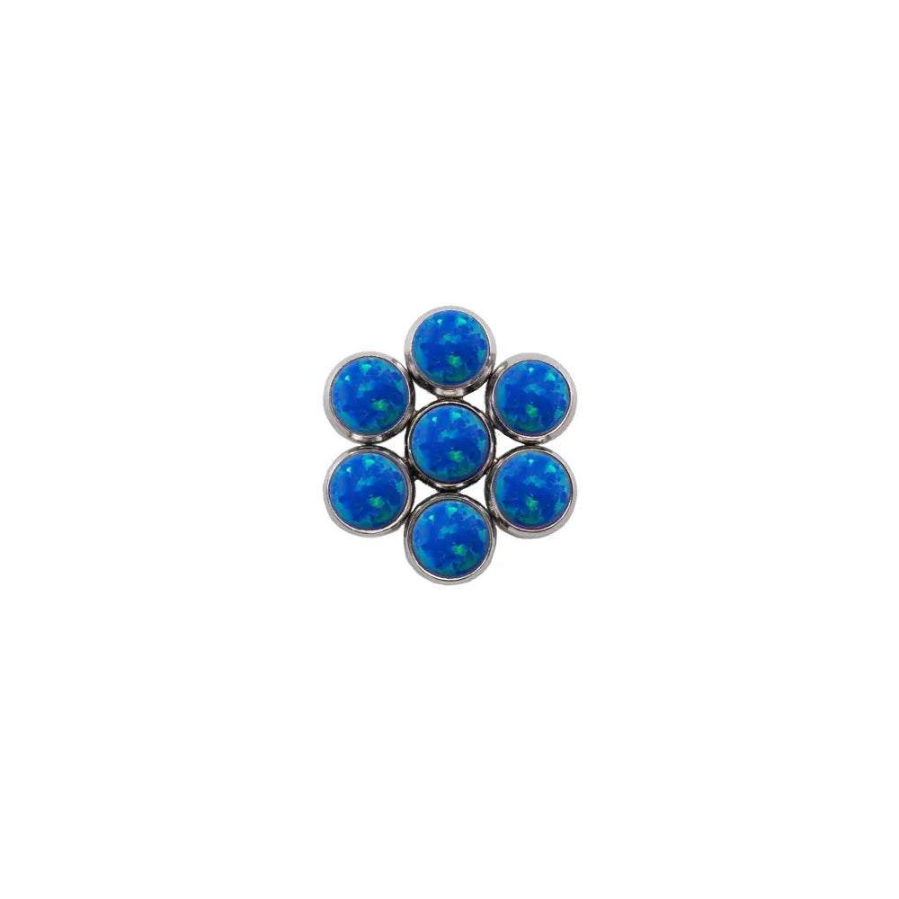 Blossom
