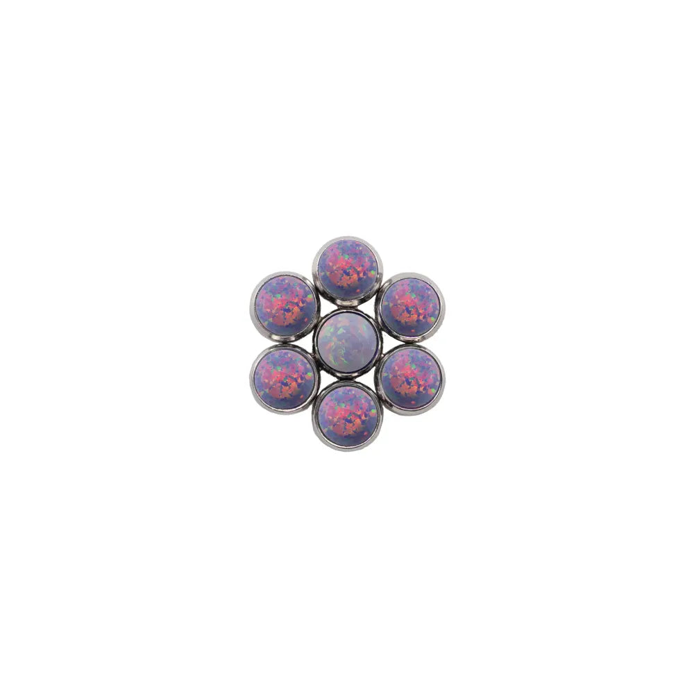 Blossom