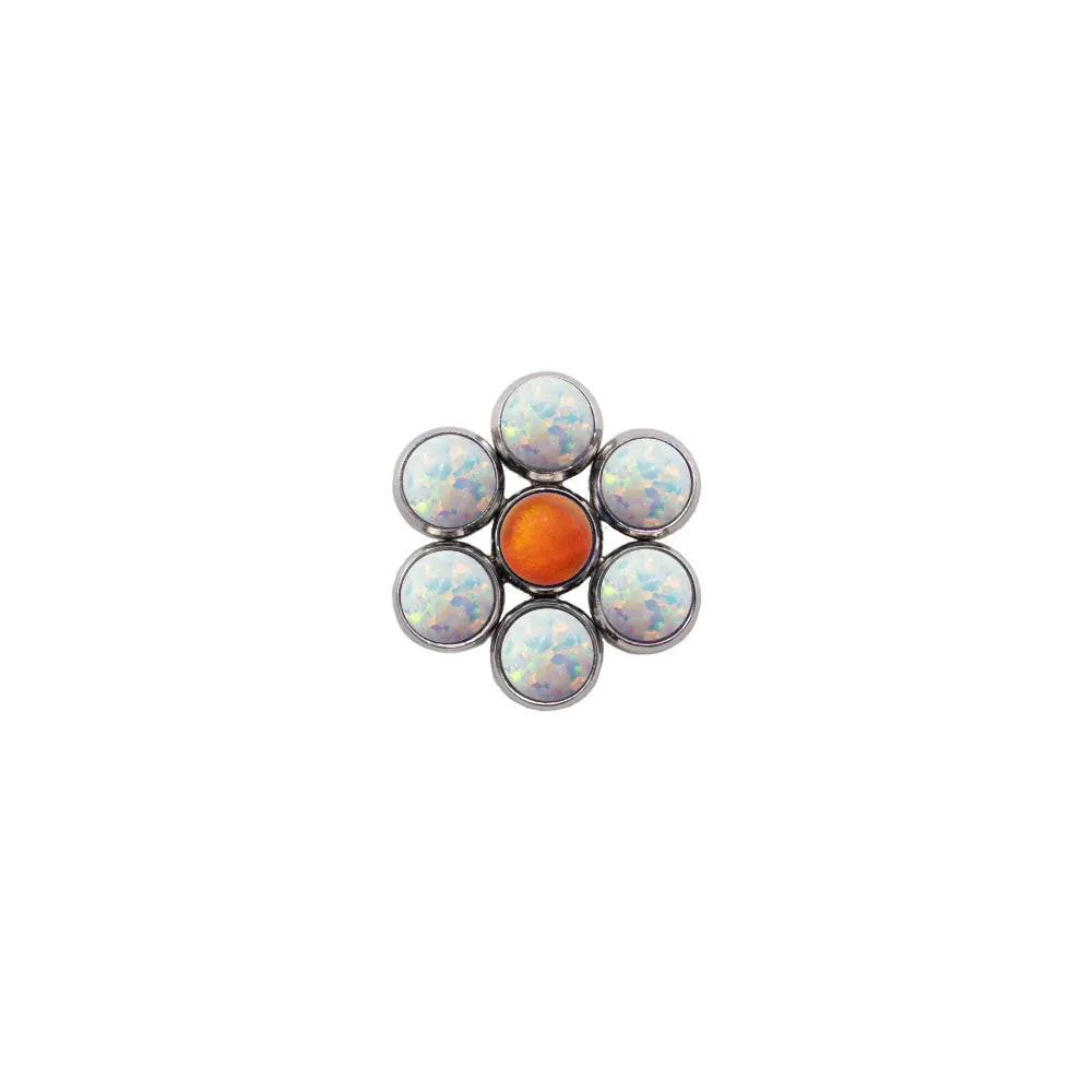 Blossom