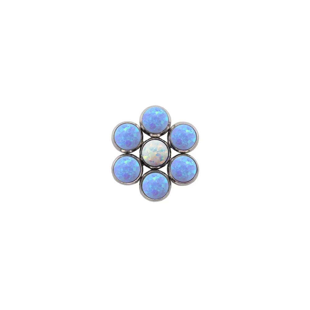 Blossom