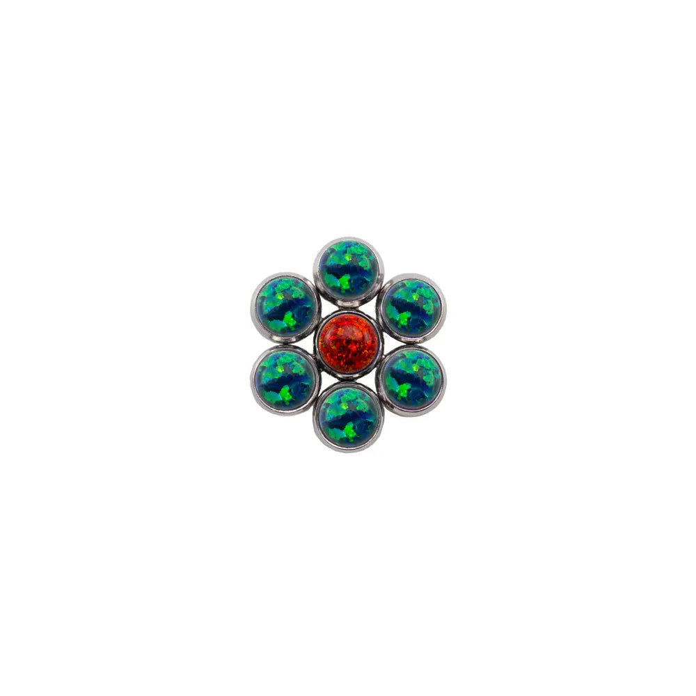 Blossom