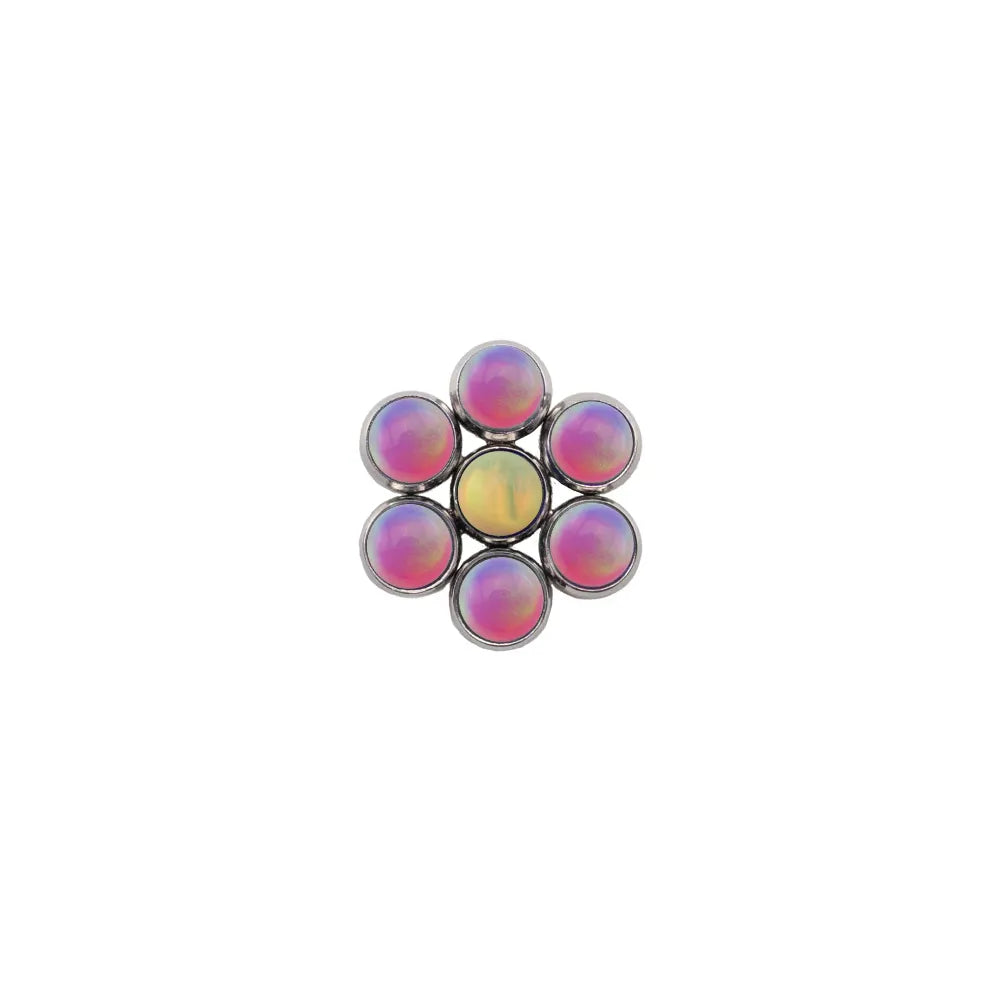 Blossom