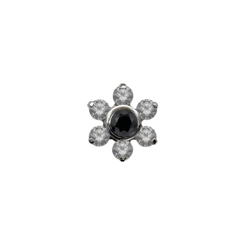 Daisy