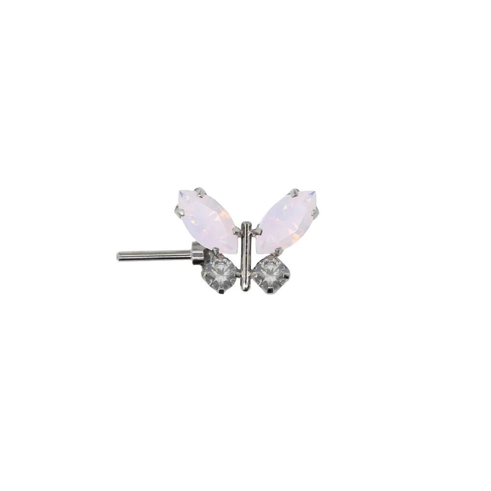 Forward Facing Papillon