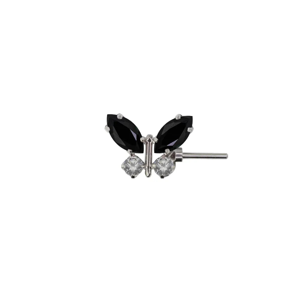 Forward Facing Papillon