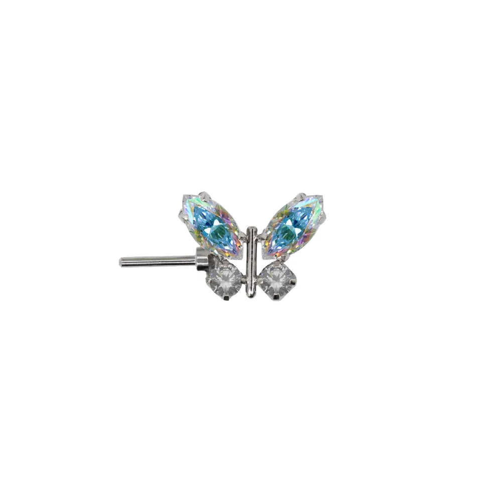 Forward Facing Papillon