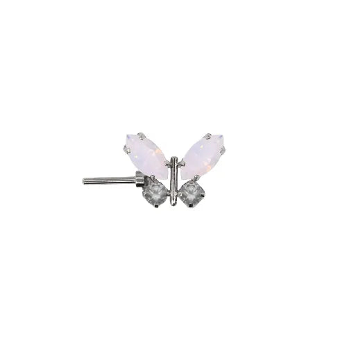 Forward Facing Papillon