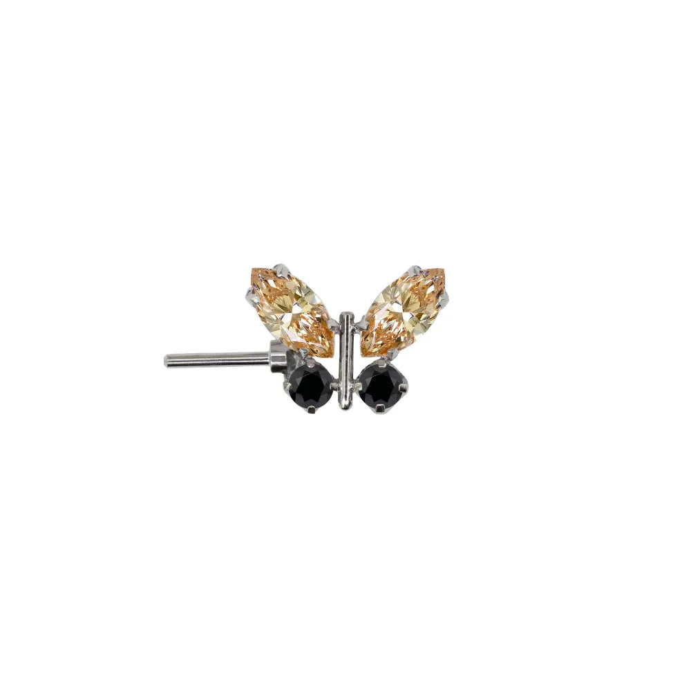 Forward Facing Papillon