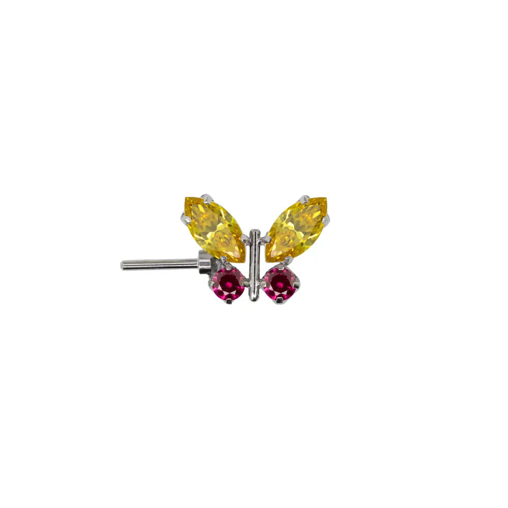 Forward Facing Papillon