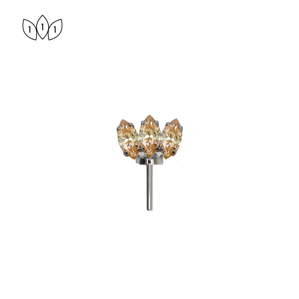 Forward Facing Marquise Fan