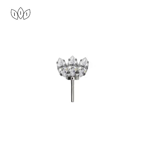 Forward Facing Marquise Fan