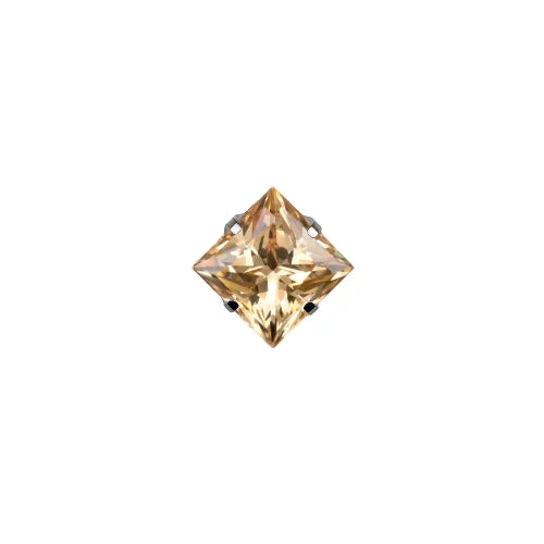 Square Princess Prong Set Gem